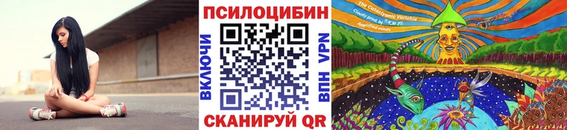 Псилоцибиновые грибы Cubensis Артёмовский